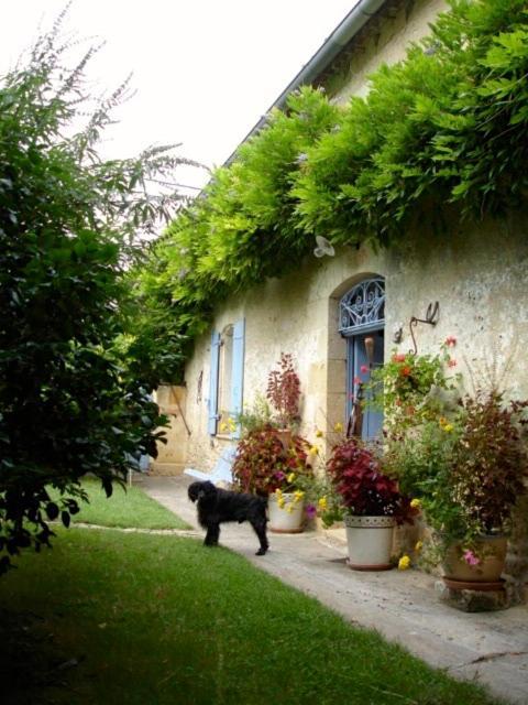 Bed and Breakfast La Petite Provence De Touron Pujols  Exteriér fotografie